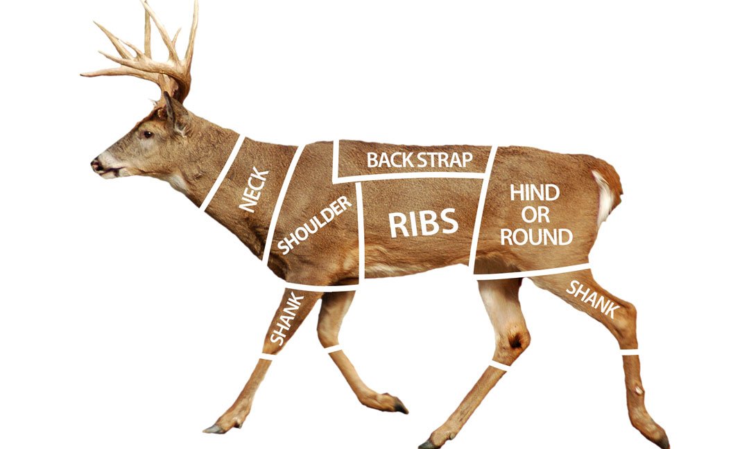 Deer Cut Chart