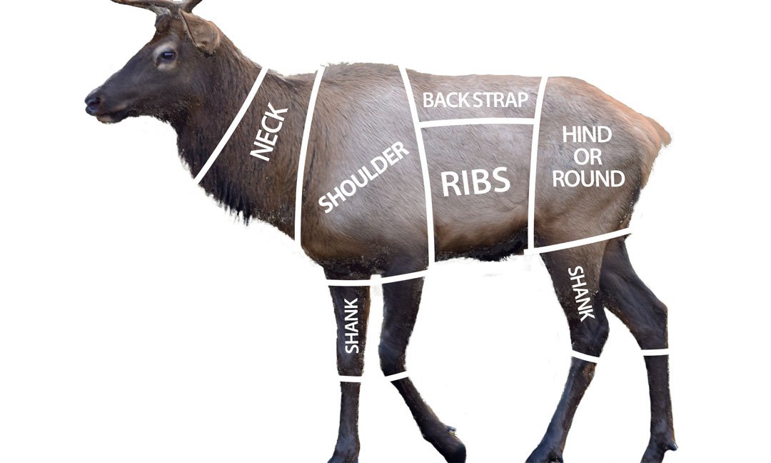 Elk Cut Chart