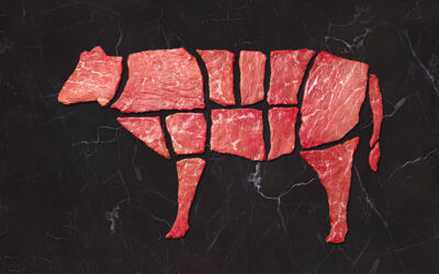 How to Stretch a Quarter Beef Across 30+ Meals